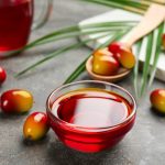 Menkop UKM: Pembangunan Pabrik Minyak Makan Merah Butuh Dana Rp14 Miliar