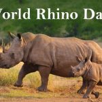 Hari Badak Sedunia.