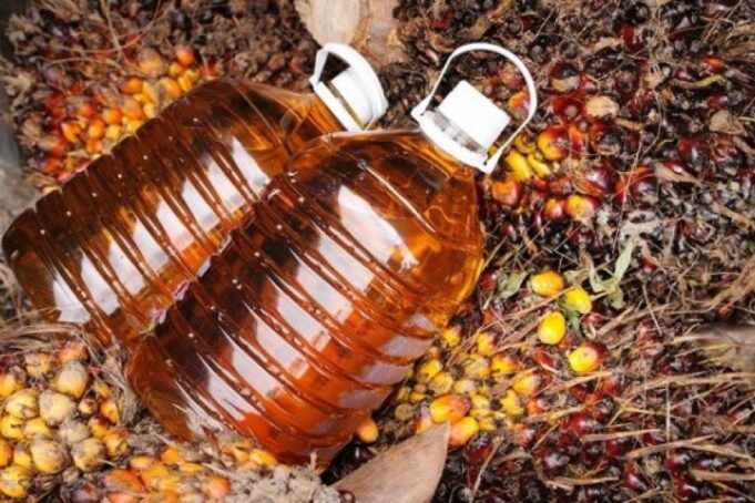 ilustrasi minyak makan merah