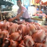 Miliki Banyak Keuntungan, KBI Ajak Pelaku Usaha Ayam Potong Manfaatkan Sistem Resi Gudang