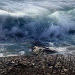 Waspada! Wilayah Selatan Jawa serta Jakarta Berpotensi Diterjang Tsunami.