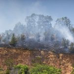 BMKG Stasiun Balikpapan Deteksi 33 Titik Panas di Kalimantan Timur