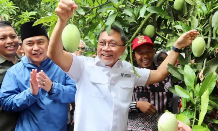 Mendag Ingin Mangga Asli Indonesia jadi Primadona Dunia