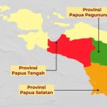 provinsi baru Papua