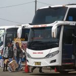 ilustrasi bus antar provinsi