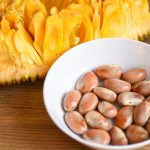 ilustrasi biji nangka