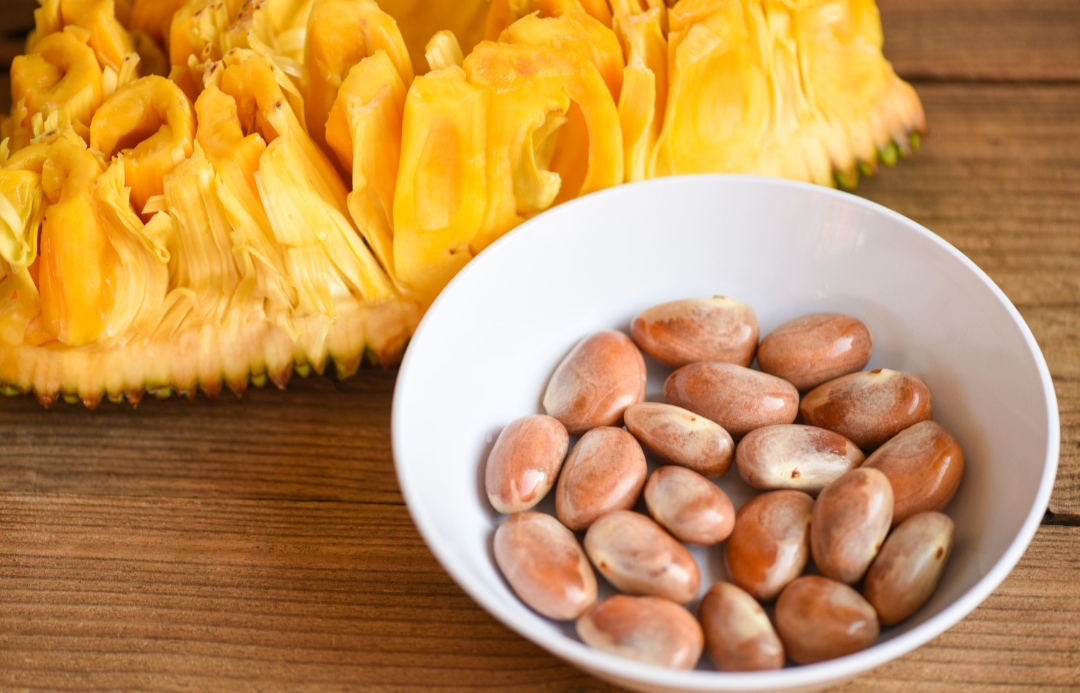 ilustrasi biji nangka