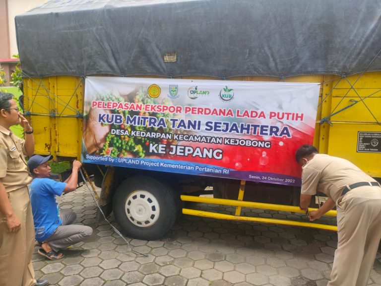 Kelompok Tani Purbalingga Ekspor Perdana Lada Putih ke Jepang
