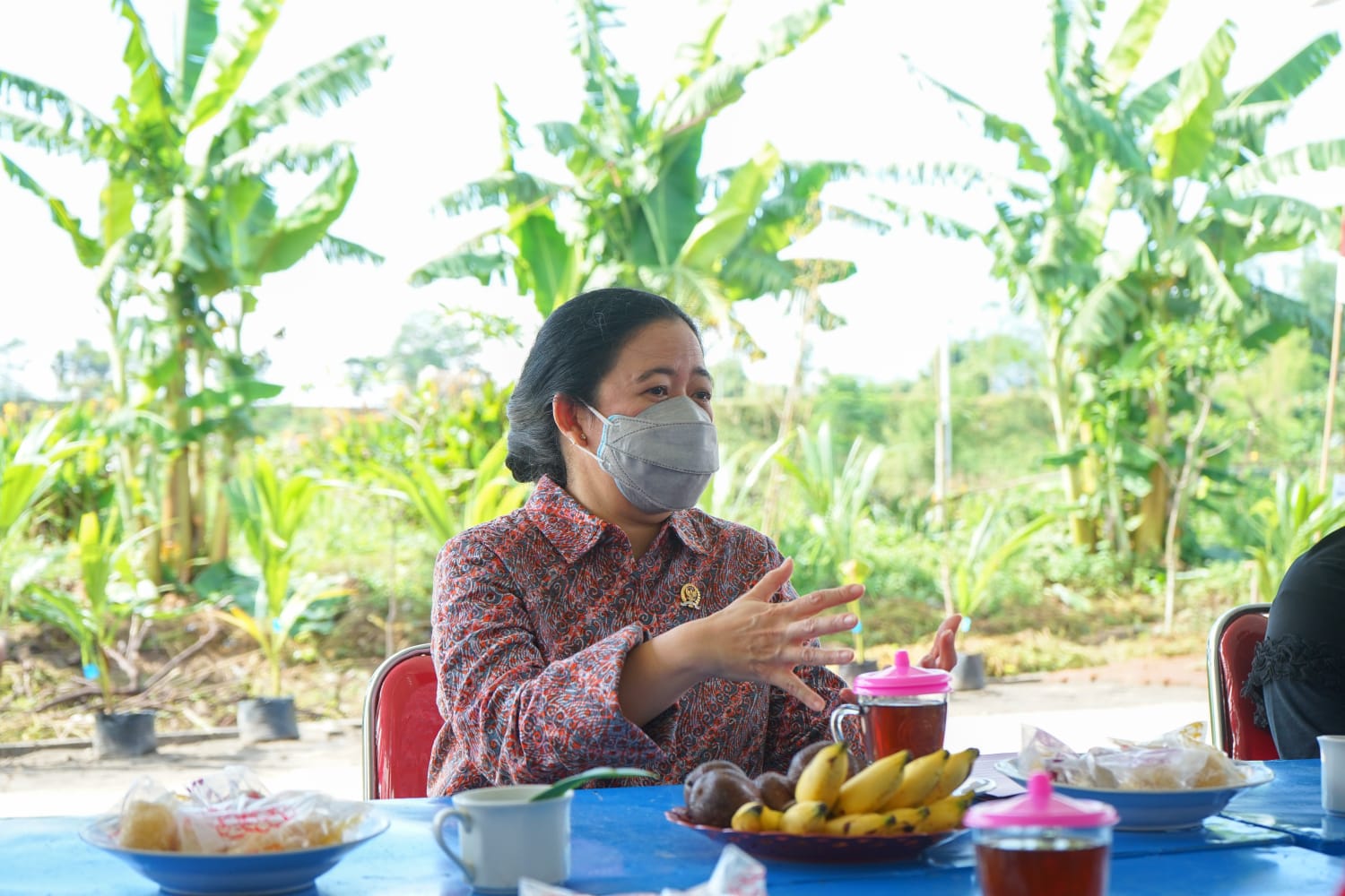 Ketua DPR RI Puan Maharani