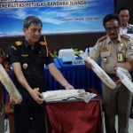 Puluhan Ribu Benih Lobster Berhasil Digagalkan Pihak Bandara Juanda