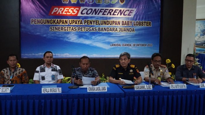 Puluhan Ribu Benih Lobster Berhasil Digagalkan Pihak Bandara Juanda