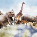 Hari Binatang Sedunia.