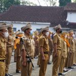 Tenaga Honorer Bakal Diangkat Jadi PNS, Berikut Syarat Lengkapnya.