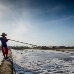 ilustrasi tambak garam di Madura