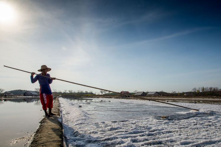 DKP: Lebih Sedikit dari Tahun Lalu, Produksi Garam di Pamekasan Capai 17 Ribu Ton