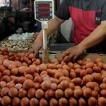 ilustrasi pedagang telur