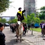 Viral Mahasiswa Tunggangi Sapi ke Acara Wisuda di Univet Sukoharjo