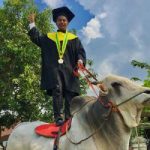 Viral Mahasiswa Tunggangi Sapi ke Acara Wisuda di Univet Sukoharjo.