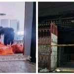 Kronologi Satu Keluarga Tewas Membusuk di Kalideres
