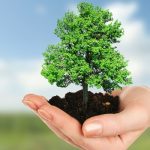 Hari Menanam Pohon Indonesia