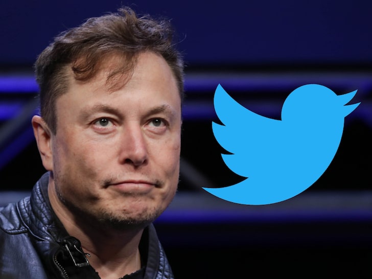 Elon Musk Resmi jadi CEO Twitter