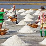 ilustrasi tambak garam di Madura