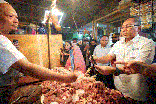 Harga Ayam Terlalu Murah Peternak Bisa Bangkrut
