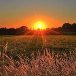 Mengenal Fenomena Solstis, Peristiwa Antariksa yang Viral Karena Larangan Keluar Malam