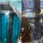 Akuarium Raksasa AquaDom di Berlin Pecah, 1.500 Ikan Tumpah ke Jalan.