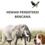 Daftar Hewan Pendeteksi Bencana Alam, Dari Anjing Hingga Burung.