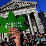 Ganja Dilegalkan di Uruguay.