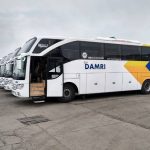 ilustrasi bus Damri