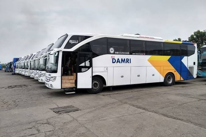 ilustrasi bus Damri