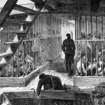 Hari Penghapusan Perbudakan Internasional