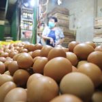 ilustrasi pedagang telur ayam