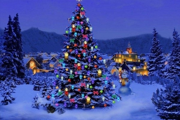 Asal Usul serta Makna Pohon Natal