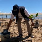 BNPB mengajak berbagai pihak untuk menanam mangrove di Pantai Soge, Kabupaten Pacitan, Jawa Timur (18/12/2022).