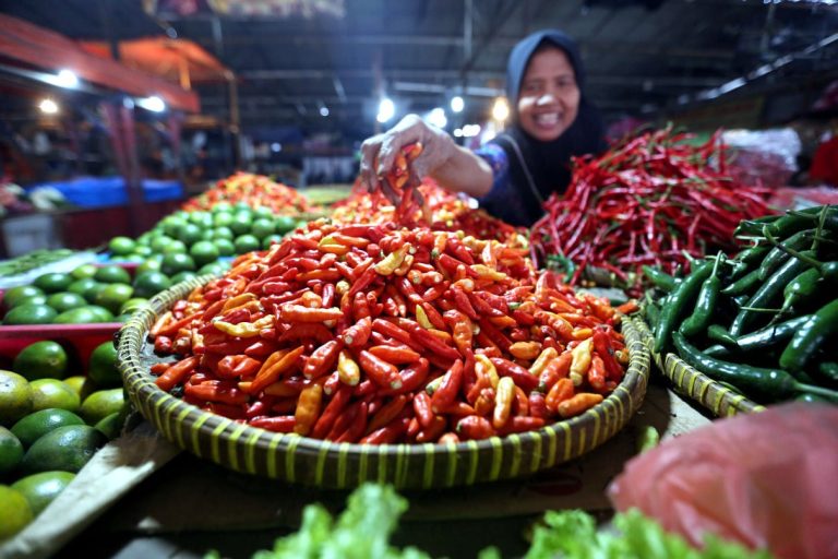 NFA Tetapkan Harga Acuan Pangan di Tingkat Produsen dan Konsumen