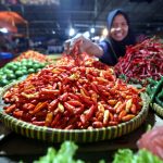 ilustrasi pedagang cabai