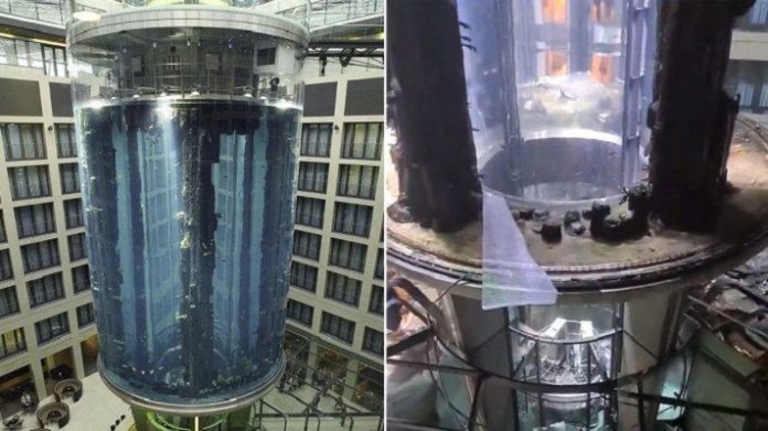 Akuarium Raksasa AquaDom di Berlin