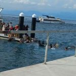 Jembatan patah di pelabuhan Nusa Penida