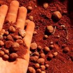 ilustrasi bijih bauksit