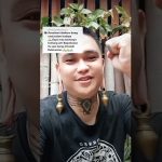 Profil Onal Majan, Sosok Pemuda Suku Dayak Kalimantan yang Viral di Medsos
