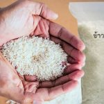 Gawat! Beras Impor Thailand dan Vietnam Bakal Penuhi Stok Indonesia Hingga Awal 2023