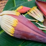 ilustrasi jantung pisang