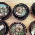 Bakso terbuat dari pati talas yang menjadi salah satu menu di Resto MS, Kota Bogor, Jawa Barat. (ilustrasi)