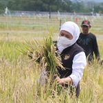 Petani dan Nelayan Jatim