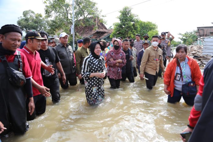 Menteri Sosial Tri Rismaharini meninjau langsung lokasi terisolir akibat bencana banjir di Pati, Jawa Tengah (06/01/2023).