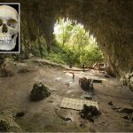 Ternyata Manusia Hobbit Pernah Ada di Indonesia, Ini Buktinya