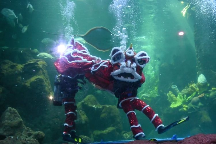 Pertunjukan barongsai dalam air di Sea World yang akan berlangsung pada 12-14 Februari 2021 pukul 13:00 WIB.